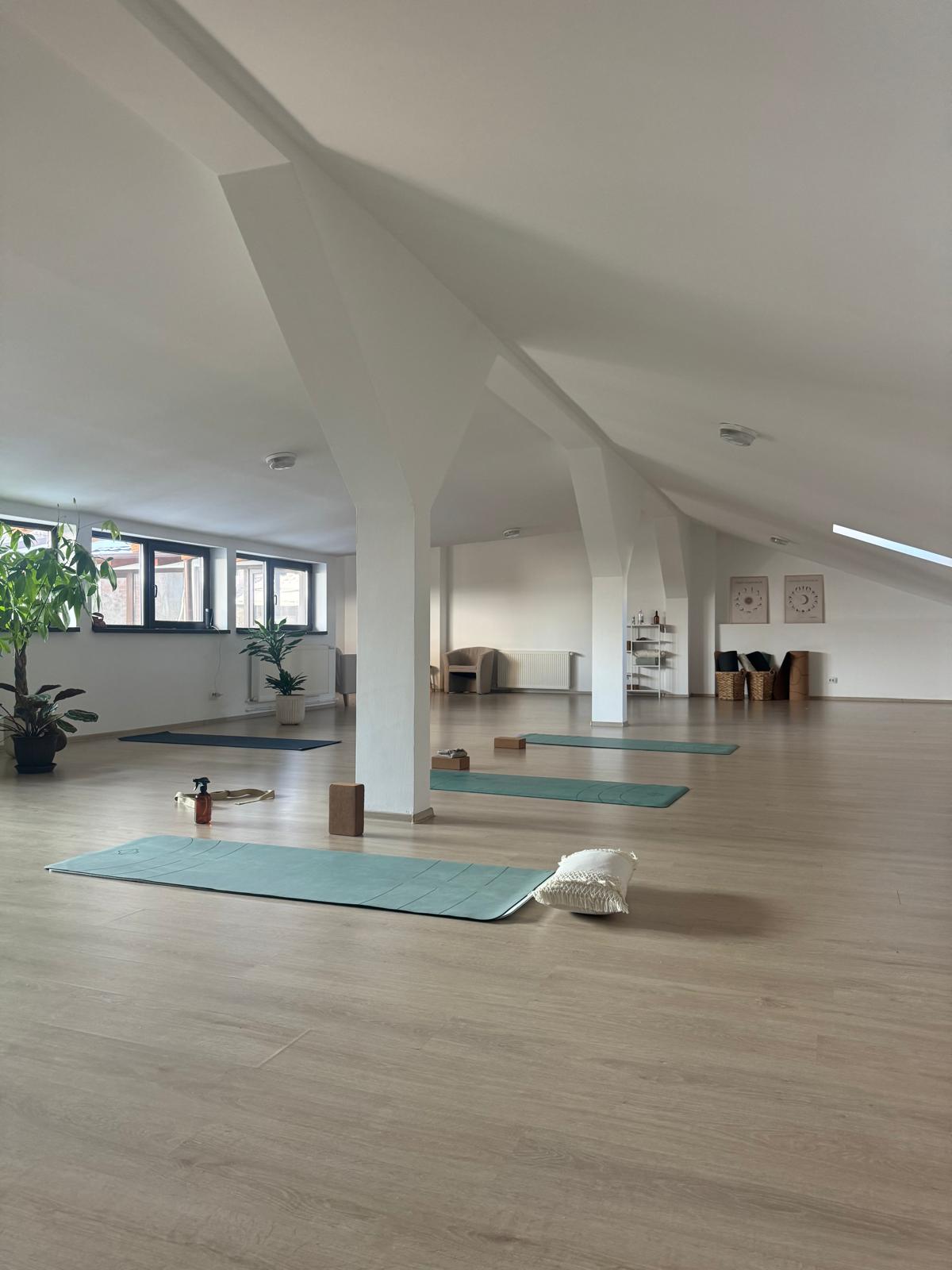 Kaya Holistic Sfintilor