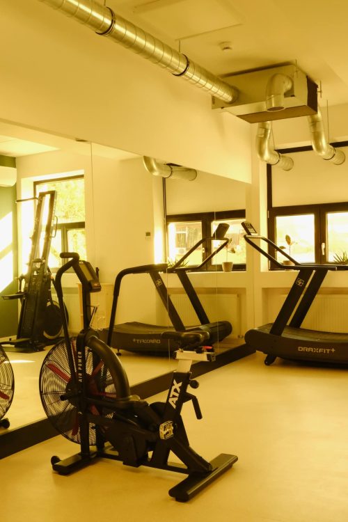 gym Elevate Your Fitness Experience